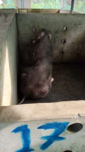 IMG-20250908-WA0052