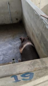 IMG-20250908-WA0066