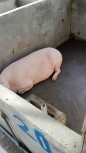 IMG-20250908-WA0073